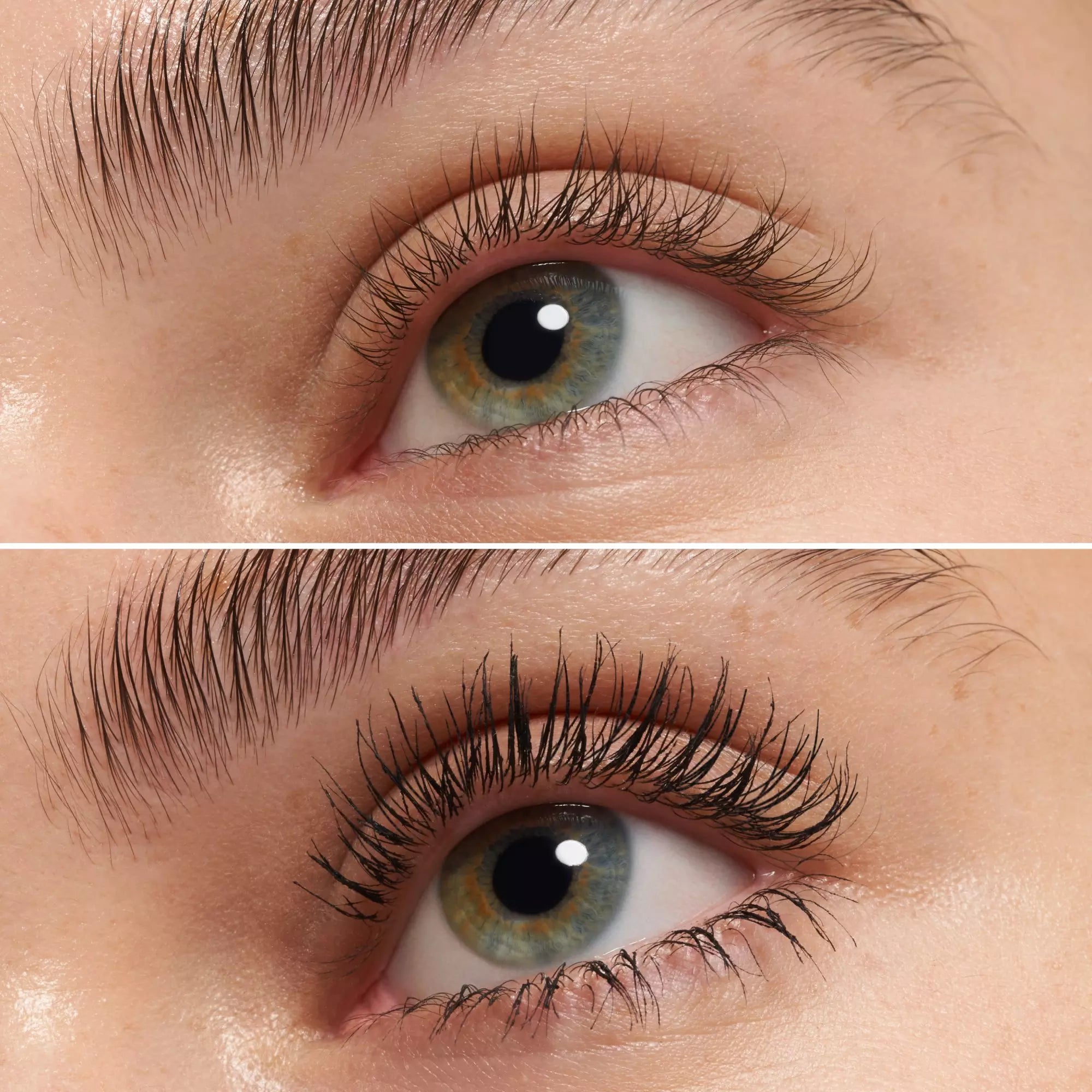 MASCARA 2025
